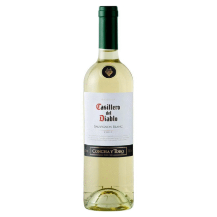 VINO CASILLERO SAUVIGNON BLANCO BT*12