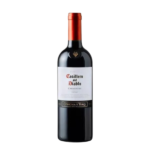 VINO CASILLERO CARMENERE BT*12