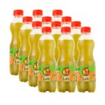 JUGO HIT 500ML LULO*12