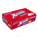 CHICLE XTIME CANELA DISPLAY*100 CJ*24